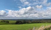 Trail Walking Sprimont - autour de dolembreux  - Photo 7