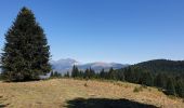 Tour Wandern Ax-les-Thermes - AX ORGEIX MERENS - 05 - chemin des Bons-Hommes GR107 - Photo 1