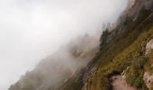 Trail On foot Schwyz - Mythenweg - fixme - Photo 8
