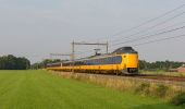 Randonnée A pied Rijssen-Holten - WNW Twente - Dijkerhoek - gele route - Photo 3