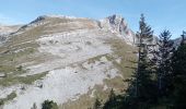 Percorso Marcia Château-Bernard - tête des chaudières et rocher de la Balme  - Photo 14