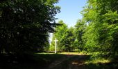 Trail Walking Trosly-Breuil - en forêt de Compiègne_28_les Tournantes sur le Mont Saint-Mard et sur le Mont Collet - Photo 3