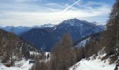 Randonnée Raquettes à neige Saint-Dalmas-le-Selvage - COL D'ANELLE - Photo 2