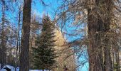 Randonnée Raquettes à neige Crots - EMBRUN Jour 2 : Abbaye de Boscodon - Le Cirque de Morgon - Photo 2