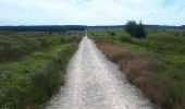 Tocht Stappen Waimes - Venenwandeling Signal de Botrange - Photo 2