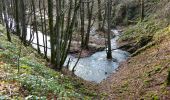 Tocht Stappen Viroinval - La Promenade des Bornes - Olloy-sur-Viroin - Photo 2