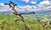 Randonnée Marche Trescléoux - Le Suillet via Le Rocher Pointu au Départ de Trescléoux - Photo 9