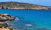 Tour Wandern Għajnsielem - MALTE 2024 / 04 COMINO ISLAND - Photo 19