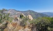 Tour Zu Fuß Ajaccio - Sentier des Crêtes Ajaccio et Grotte Napoléon - Photo 5