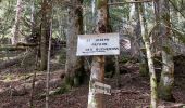 Trail Walking Storckensohn - Rouge gazon Gresson - Photo 5
