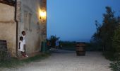 Randonnée A pied San Gimignano - Dolce campagna, antiche mura 19 - Photo 1