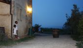 Tour Zu Fuß San Gimignano - Dolce campagna, antiche mura 19 - Photo 1