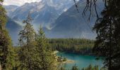 Tour Zu Fuß Gurtnellen - Arnisee - Gurtnellen - Photo 1