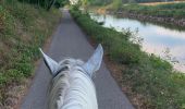 Tocht Paardrijden Lépanges-sur-Vologne - La Hauta Verrière - Uxegney - Photo 1