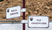 Tour Zu Fuß Fels - M4 - Medernach - Photo 5