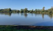 Tour Wandern Grez-Doiceau - NETHEN _ [ Grez-Doiceau ] _ Marche Fédérale _BBW _21/09/2022 - Photo 2