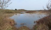 Trail On foot Terschelling - Sparrenlaan en Groene Pollen - Photo 1