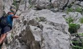 Randonnée Marche Talloires-Montmin - LA TOURNETTE DEPUIS MONTMIN PAR LA CHEMINEE DU LARS - Photo 10