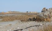 Tour Wandern Penvénan - Port blanc - Pointe du Château  - Photo 16