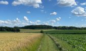 Tour Wandern Grez-Doiceau - Gastuche  - Photo 15