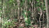 Tour Wandern Rivière-Pilote - Escapade sur la cote rocheuses de pointe Borgnèse. - Photo 18