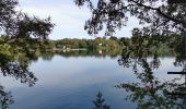 Randonnée Marche Waimes - Barrage de Robert Ville et Château Steinhart - Photo 13