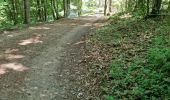 Tocht Stappen Vendôme - Randonnée dans le Bois de l'Oratoire à Vendôme  - Photo 6