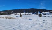 Excursión Senderismo Les Rousses - Ballade autour du lac des Rousses sous la neige - Photo 1