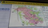 Tour Wandern Saint-Pierre-des-Fleurs - 20221108-St Pierre des Fleurs - Photo 19