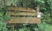 Tour Zu Fuß Sainte-Mesme - Boucle en forêt de Dourdan au départ de Sainte Mesme - Photo 5