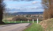 Tour Elektrofahrrad Saint-Clément - sortie vtt 24022024 sionviller - Photo 6