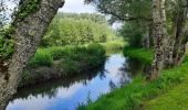 Randonnée Marche Saint-Valery-sur-Somme - Baie de Somme - Photo 1