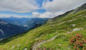 Randonnée Marche Planay - le refuge du Grand Bec (boucle) - Photo 6