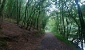 Tocht Stappen Vianden - vianden . stolzemmbour  - Photo 3