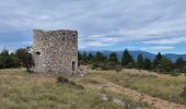 Randonnée Marche Sault - Monieux le Vallat du Loup - Photo 11