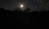 Tocht Stappen Lasserre-Pradère - LASSERE-PRADERE rando nocturne  - Photo 4