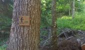 Trail Walking Savines-le-Lac - Pic de Morgon 13.8.23 - Photo 16