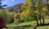 Percorso Marcia Storckensohn - Runtzwald Gazon Vert  - Photo 2