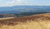 Tour Wandern Pont de Montvert - Sud Mont Lozère - arsel du pt de montvert a bedoues - Photo 13