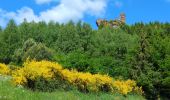 Trail Walking Dabo - Dabo - Col de la Schleif - Roskopf - Photo 2