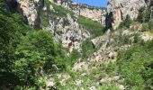 Randonnée Marche Aiguines - Gorges du Verdon - Sentier de l'Imbut - Photo 18
