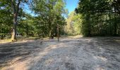 Percorso Marcia Brain-sur-Allonnes - BALADE BRUN SUR ALLONE DANS LA FORÃT  - Photo 10