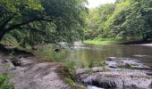 Trail Walking Houffalize - Le herou . Le chesle - Photo 11