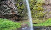 Trail Walking Le Falgoux - Cascade du Biagun - Photo 4