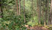 Excursión Marcha nórdica Fontainebleau - Âpremont les gorges  - Photo 6