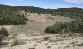 Randonnée Marche Signes - Tour de la Limate - Photo 1