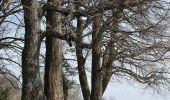 Excursión A pie Schwäbisch Gmünd - rotes Kreuz Wäschenbeuren-Rechberg-Kaltes Feld SAV - Photo 10