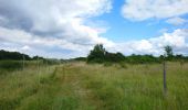 Randonnée Marche Larçay - Larçay - Circuit Nature - 12km 110m 2h15 - 2016 05 28 - Photo 2