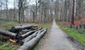 Tocht Stappen Watermaal-Bosvoorde - Forêt de Soignes - Photo 3