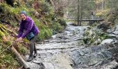 Tocht Stappen Malmedy - Ferme Libert - Photo 8